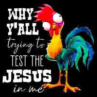 Why Yall Trying To Test The Jesus In Me Funny Rooster Kids Hoodie