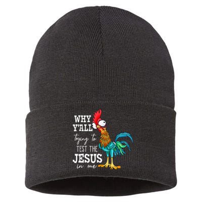 Why Y'all Trying To Test The Jesus In Me Funny Chicken Sustainable Knit Beanie