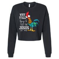 Why Y'all Trying To Test The Jesus In Me Funny Chicken Cropped Pullover Crew
