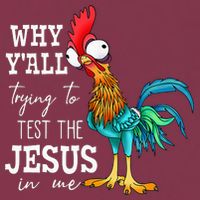 Why Y'all Trying To Test The Jesus In Me Funny Chicken 16oz Travel Tumbler