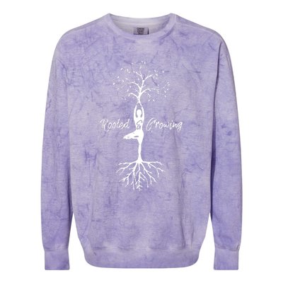 Womens Yoga Tree Of Life With Sayings Vriksasana Hatha Pose Colorblast Crewneck Sweatshirt