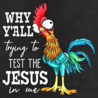 Why Y'all Trying To Test The Jesus In Me Funny Chicken Hat