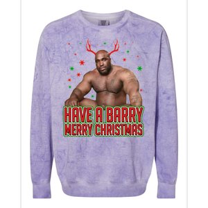 X-Mas Have A Barry Merry Christmas Colorblast Crewneck Sweatshirt