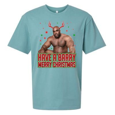 X-Mas Have A Barry Merry Christmas Sueded Cloud Jersey T-Shirt