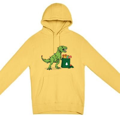 Xmas Christmas Lights Pine Tree Wild Animal T Rex Dinosaur Gift Premium Pullover Hoodie