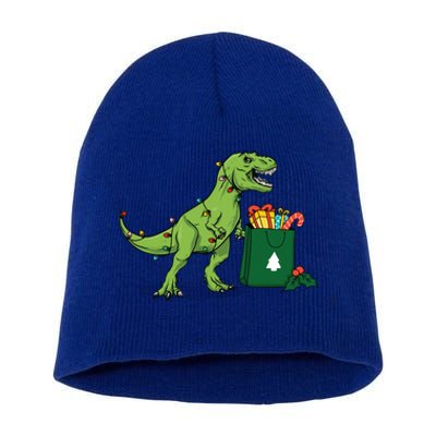 Xmas Christmas Lights Pine Tree Wild Animal T Rex Dinosaur Gift Short Acrylic Beanie