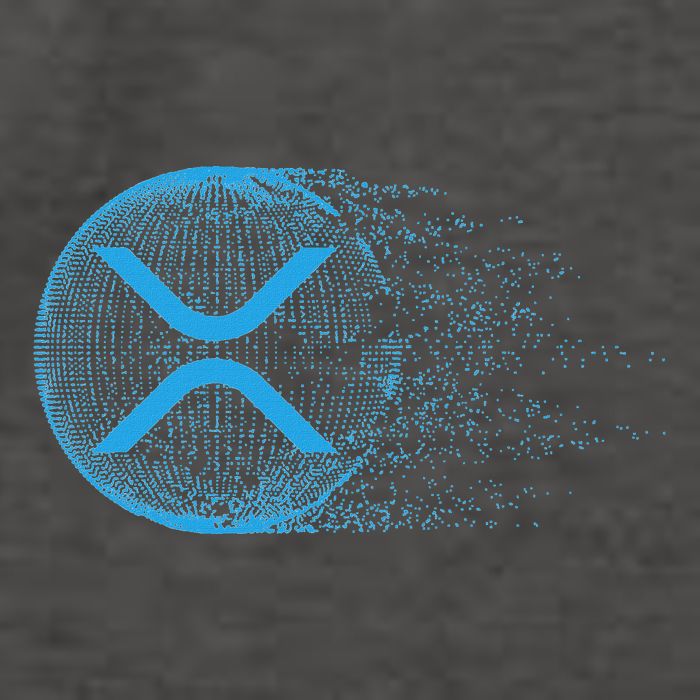 Xrp Crypto Merchandise Vector Backpack