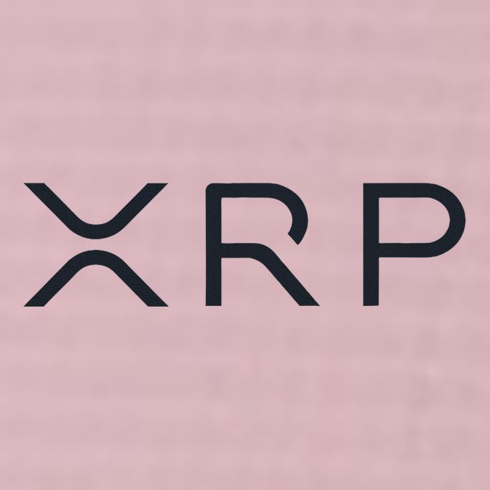 Xrp Coin Ripple Cryptocurrency Wallet Hodler To The Moon 25L Jumbo Tote