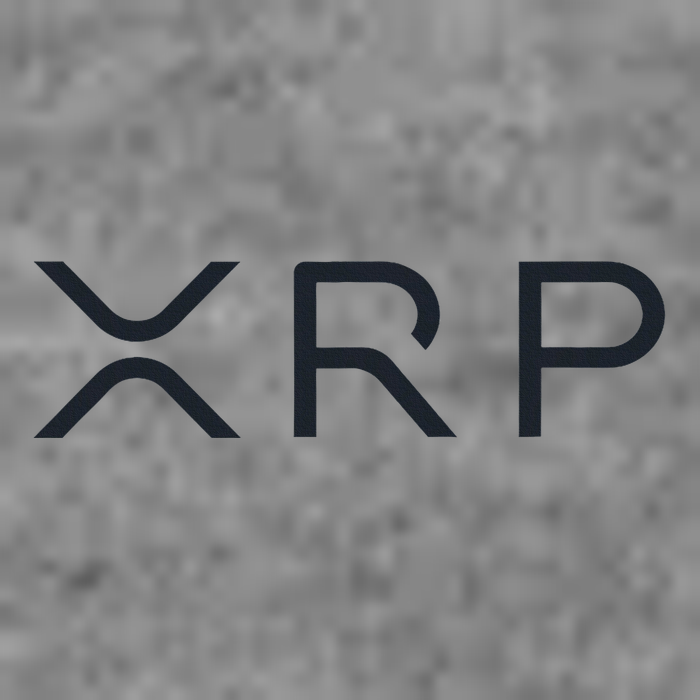 Xrp Coin Ripple Cryptocurrency Wallet Hodler To The Moon Sustainable Beanie