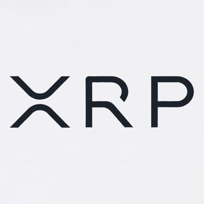 Xrp Coin Ripple Cryptocurrency Wallet Hodler To The Moon Toddler T-Shirt