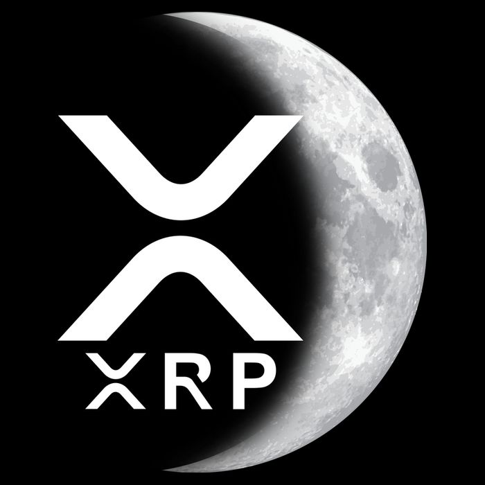 XRP Cryptocurrency To The Moon Apron