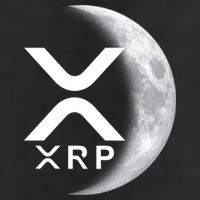 XRP Cryptocurrency To The Moon Adult Drive Performance Visor