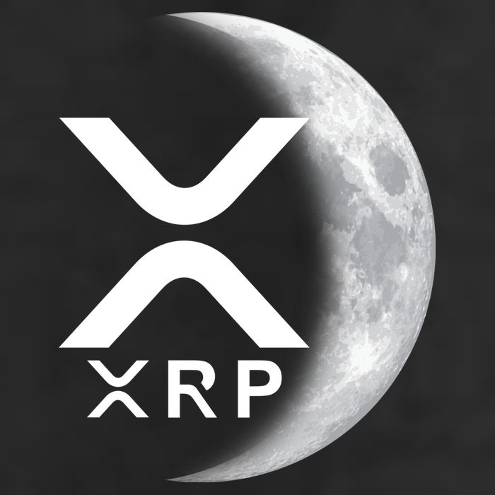 XRP Cryptocurrency To The Moon Adult Drive Performance Visor