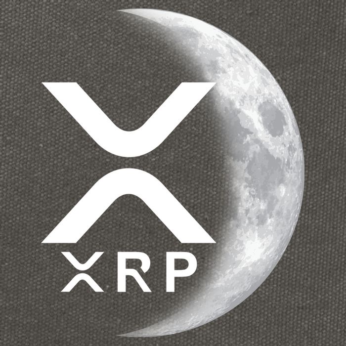 XRP Cryptocurrency To The Moon Cotton Canvas Backpack