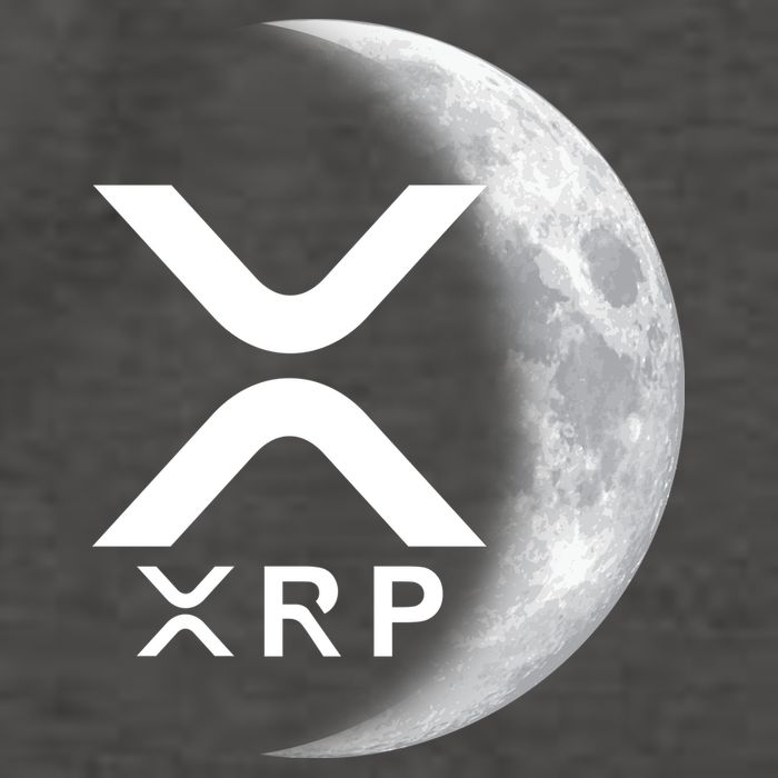 XRP Cryptocurrency To The Moon Vector Backpack