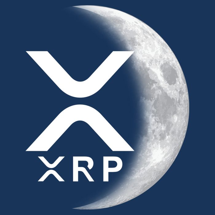 XRP Cryptocurrency To The Moon Infant Baby Jersey Bodysuit