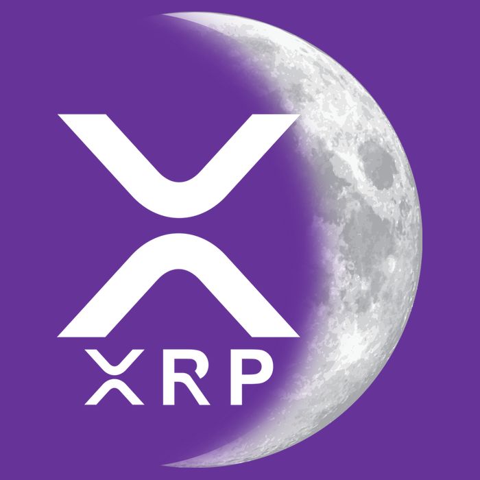 XRP Cryptocurrency To The Moon Baby Bodysuit