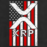 XRP Cryptocurrency USA American Flag Beanie