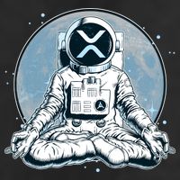 XRP Cryptocurrency Yoga Astronaut Moon Beanie