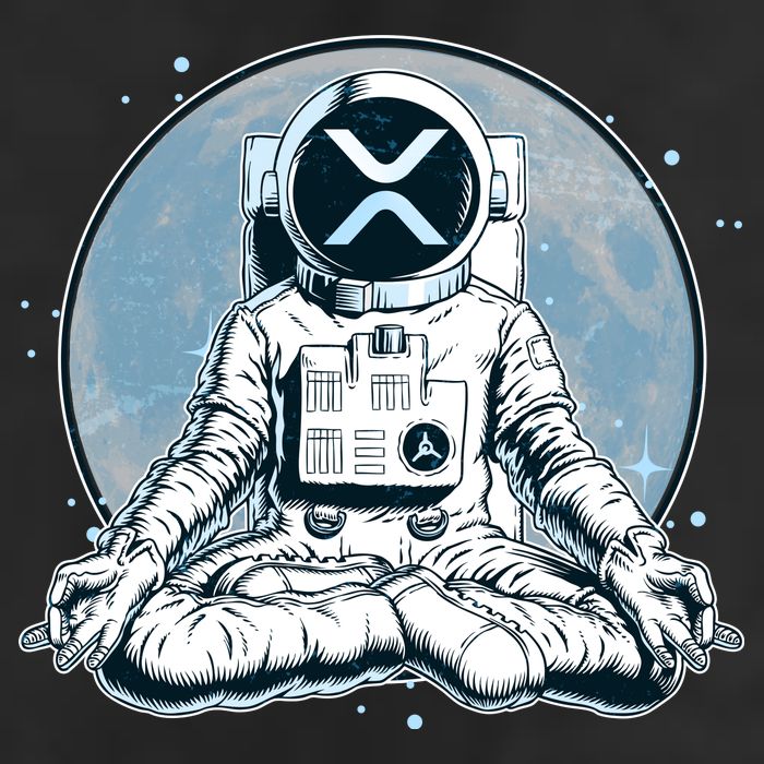 XRP Cryptocurrency Yoga Astronaut Moon Beanie