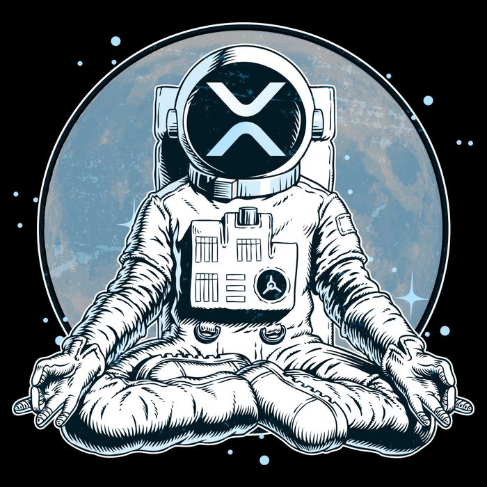 XRP Cryptocurrency Yoga Astronaut Moon Flatbill Hat
