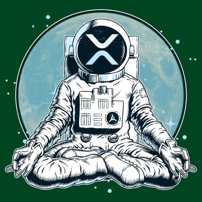 XRP Cryptocurrency Yoga Astronaut Moon Cooling Performance Crew T-Shirt