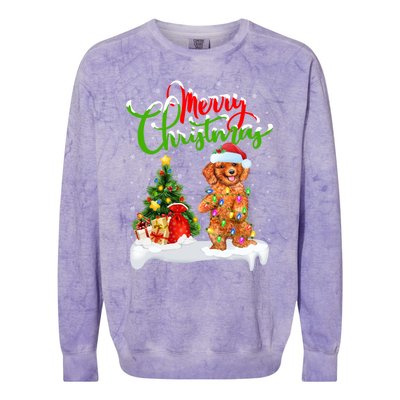 Xmas Decorations Santa Toy Poodle Dog Christmas Funny Gift Colorblast Crewneck Sweatshirt