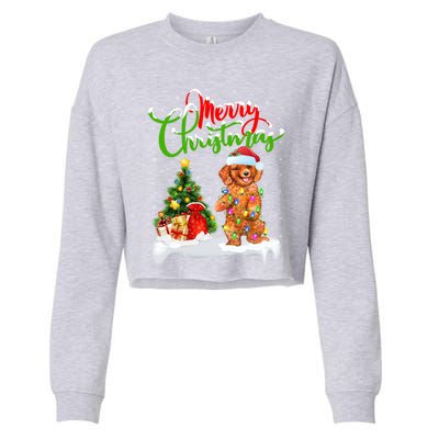 Xmas Decorations Santa Toy Poodle Dog Christmas Funny Gift Cropped Pullover Crew