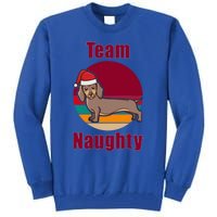 Xmas Doxie Team Naughty List Funny Santa Dachshund Christmas Gift Tall Sweatshirt