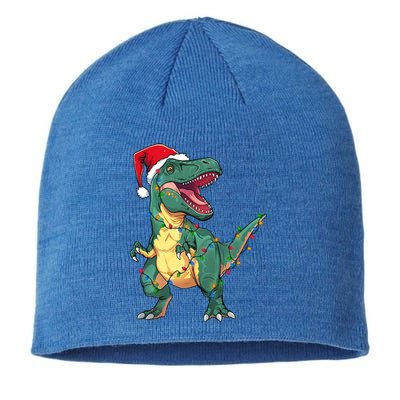 Xmas Dinosaur T Rex Santa Christmas Tree Lights Gift Sustainable Beanie