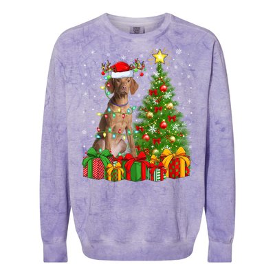 Xmas Holiday Lights Santa Vizsla Dog Christmas Tree Gift Colorblast Crewneck Sweatshirt