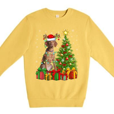 Xmas Holiday Lights Santa Vizsla Dog Christmas Tree Gift Premium Crewneck Sweatshirt