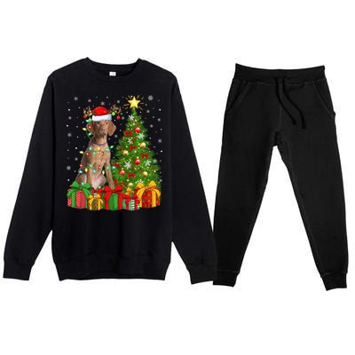 Xmas Holiday Lights Santa Vizsla Dog Christmas Tree Gift Premium Crewneck Sweatsuit Set