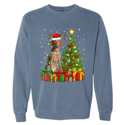 Xmas Holiday Lights Santa Vizsla Dog Christmas Tree Gift Garment-Dyed Sweatshirt