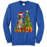 Xmas Holiday Lights Santa Vizsla Dog Christmas Tree Gift Sweatshirt