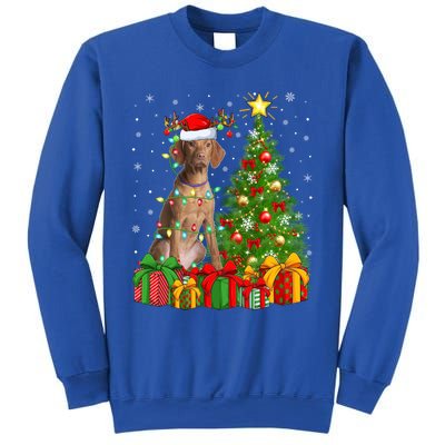 Xmas Holiday Lights Santa Vizsla Dog Christmas Tree Gift Sweatshirt