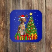 Xmas Holiday Lights Santa Vizsla Dog Christmas Tree Gift Coaster