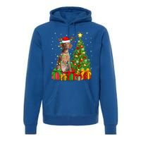 Xmas Holiday Lights Santa Vizsla Dog Christmas Tree Gift Premium Hoodie