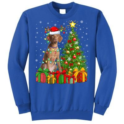 Xmas Holiday Lights Santa Vizsla Dog Christmas Tree Gift Tall Sweatshirt