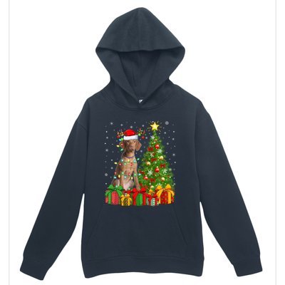 Xmas Holiday Lights Santa Vizsla Dog Christmas Tree Gift Urban Pullover Hoodie