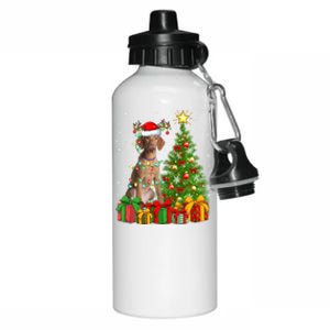 Xmas Holiday Lights Santa Vizsla Dog Christmas Tree Gift Aluminum Water Bottle