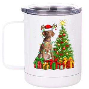 Xmas Holiday Lights Santa Vizsla Dog Christmas Tree Gift 12 oz Stainless Steel Tumbler Cup