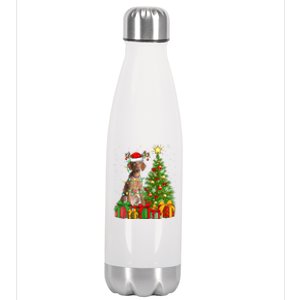 Xmas Holiday Lights Santa Vizsla Dog Christmas Tree Gift Stainless Steel Insulated Water Bottle