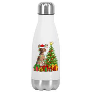 Xmas Holiday Lights Santa Vizsla Dog Christmas Tree Gift Stainless Steel Insulated Water Bottle