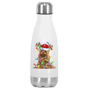 Xmas Holiday Lighting Santa Yorkshire Terrier Dog Christmas Great Gift Stainless Steel Insulated Water Bottle