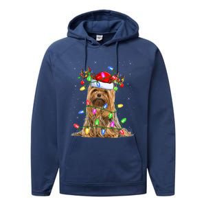 Xmas Holiday Lighting Santa Yorkshire Terrier Dog Christmas Gift Performance Fleece Hoodie