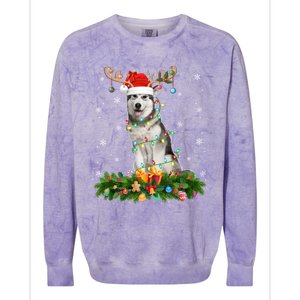 Xmas Holiday Reindeer Santa Alaskan Malamute Dog Christmas Gift Colorblast Crewneck Sweatshirt