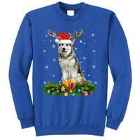 Xmas Holiday Reindeer Santa Alaskan Malamute Dog Christmas Gift Tall Sweatshirt