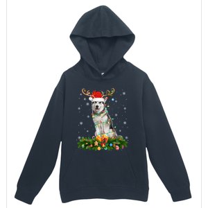 Xmas Holiday Reindeer Santa Alaskan Malamute Dog Christmas Gift Urban Pullover Hoodie