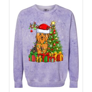 Xmas Holiday Santa Yorkshire Terrier Dog Christmas Tree Gift Colorblast Crewneck Sweatshirt